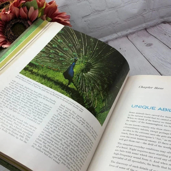 vintage 1964 reader's digest marvels & mysteries of our animal world book - Picture 10 of 12